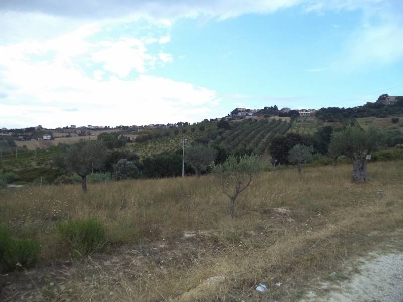 15 COLONNELLA- Vigneto di 12 ettari con casale e l