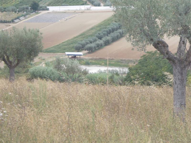 11 COLONNELLA- Vigneto di 12 ettari con casale e l