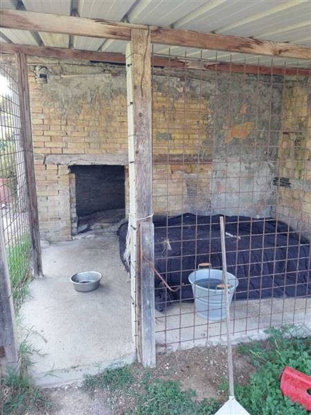 14 OFFIDA - CASA INDIPENDENTE DA RISTRUTTURARE.jpe