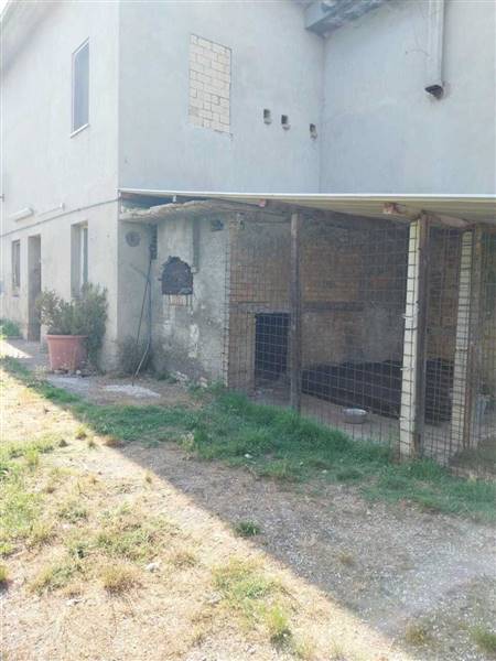 02 OFFIDA - CASA INDIPENDENTE DA RISTRUTTURARE.jpe