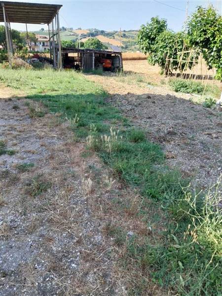 09 OFFIDA - CASA INDIPENDENTE DA RISTRUTTURARE.jpe