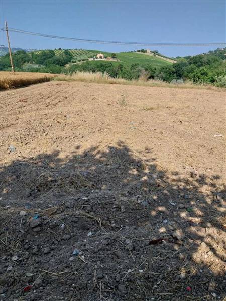 18 OFFIDA - CASA INDIPENDENTE DA RISTRUTTURARE.jpe