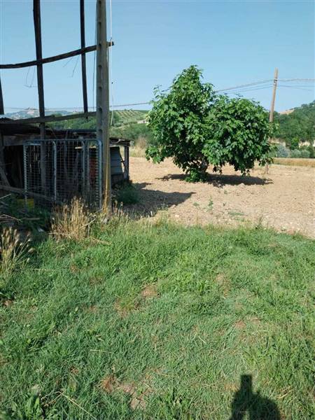 19 OFFIDA - CASA INDIPENDENTE DA RISTRUTTURARE.jpe