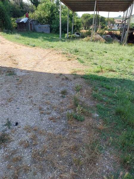 08 OFFIDA - CASA INDIPENDENTE DA RISTRUTTURARE.jpe