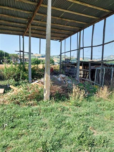 20 OFFIDA - CASA INDIPENDENTE DA RISTRUTTURARE.jpe