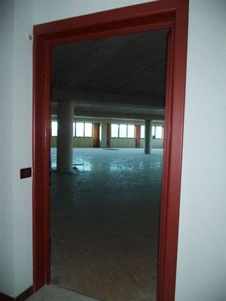 DSC00216 (480x640).jpg