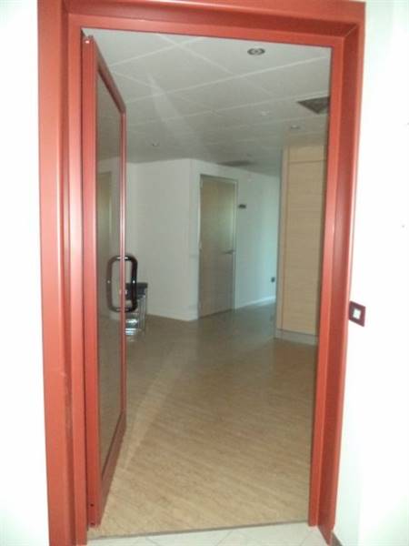 DSC00205 (480x640).jpg