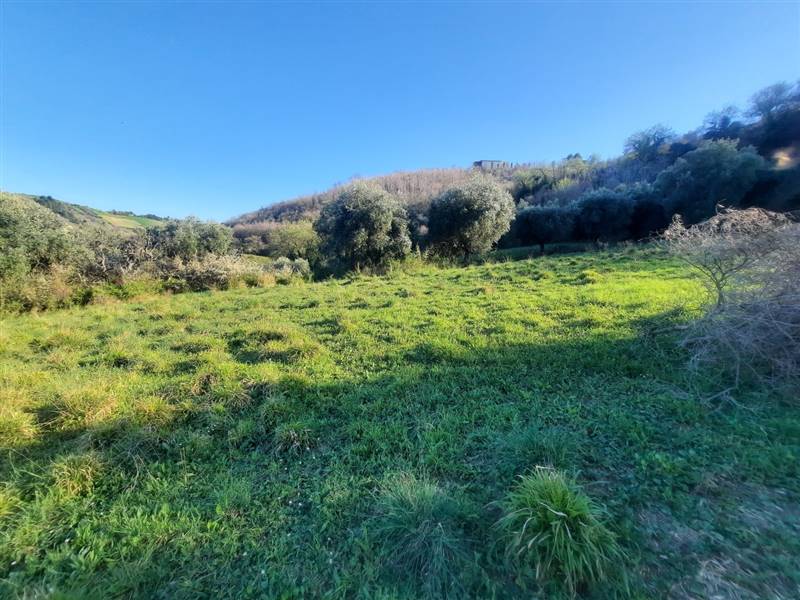 17 RIPATRANSONE - RUDERE CON TERRENO E VISTA PANOR