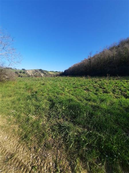 06 RIPATRANSONE - RUDERE CON TERRENO E VISTA PANOR