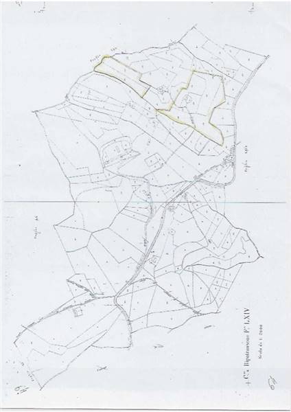21 RIPATRANSONE - RUDERE CON TERRENO E VISTA PANOR