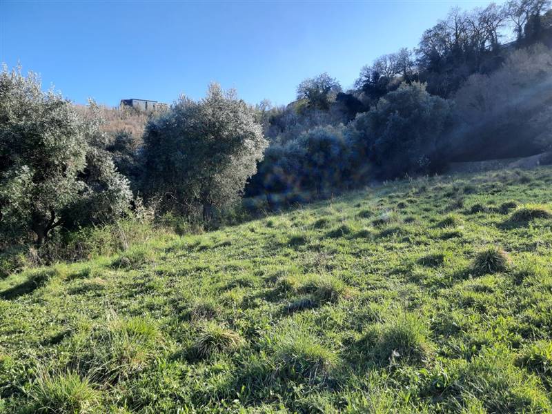 18 RIPATRANSONE - RUDERE CON TERRENO E VISTA PANOR