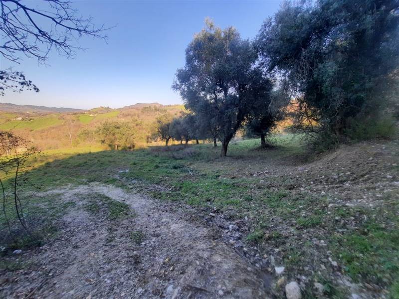 15 RIPATRANSONE - RUDERE CON TERRENO E VISTA PANOR