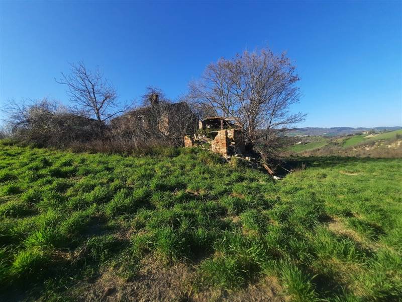 09 RIPATRANSONE - RUDERE CON TERRENO E VISTA PANOR
