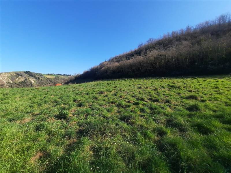 08 RIPATRANSONE - RUDERE CON TERRENO E VISTA PANOR