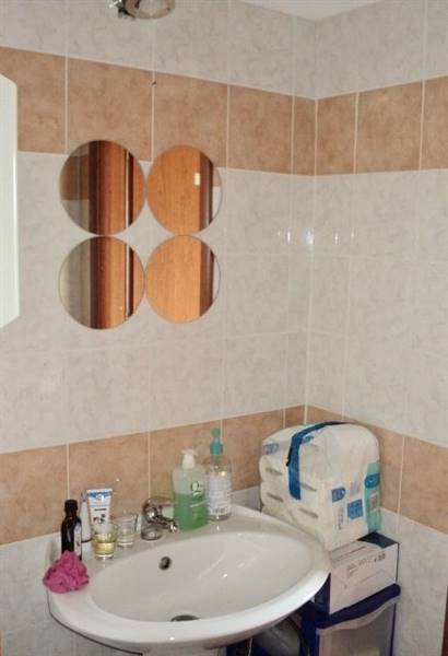 DSC01946 (480x640).jpg