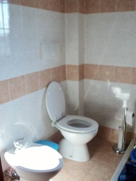 DSC01947 (480x640).jpg