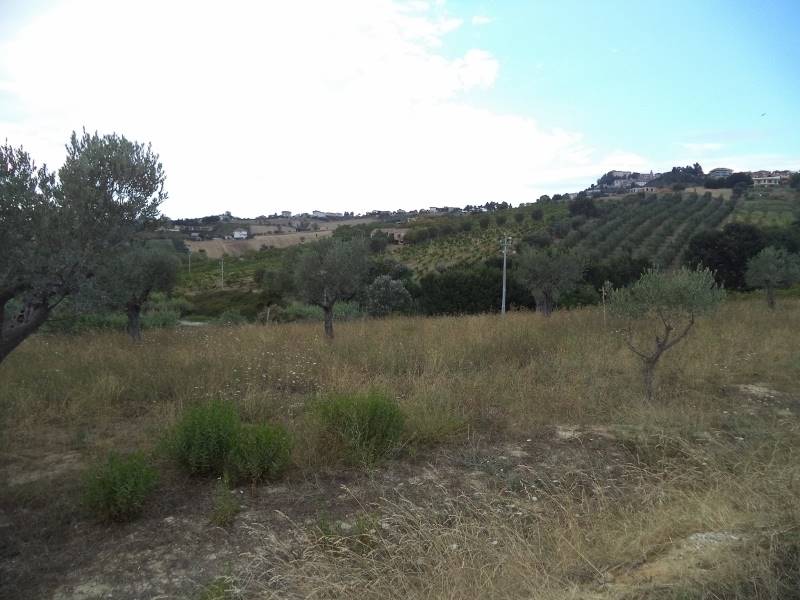 18 COLONNELLA- Vigneto di 12 ettari con casale e l