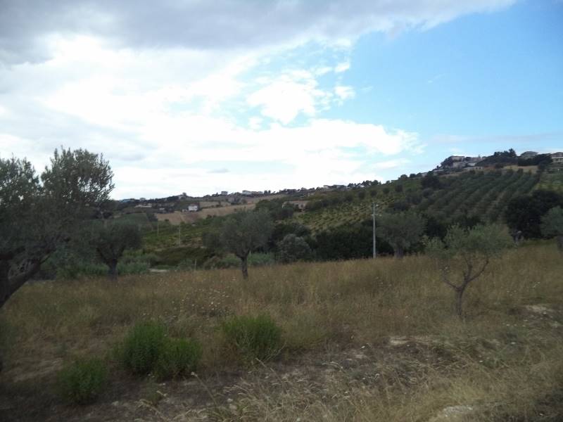 16 COLONNELLA- Vigneto di 12 ettari con casale e l