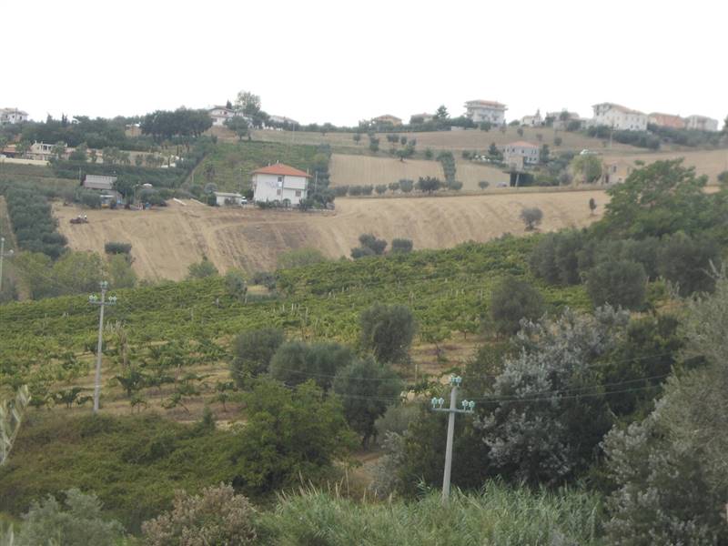 09 COLONNELLA- Vigneto di 12 ettari con casale e l