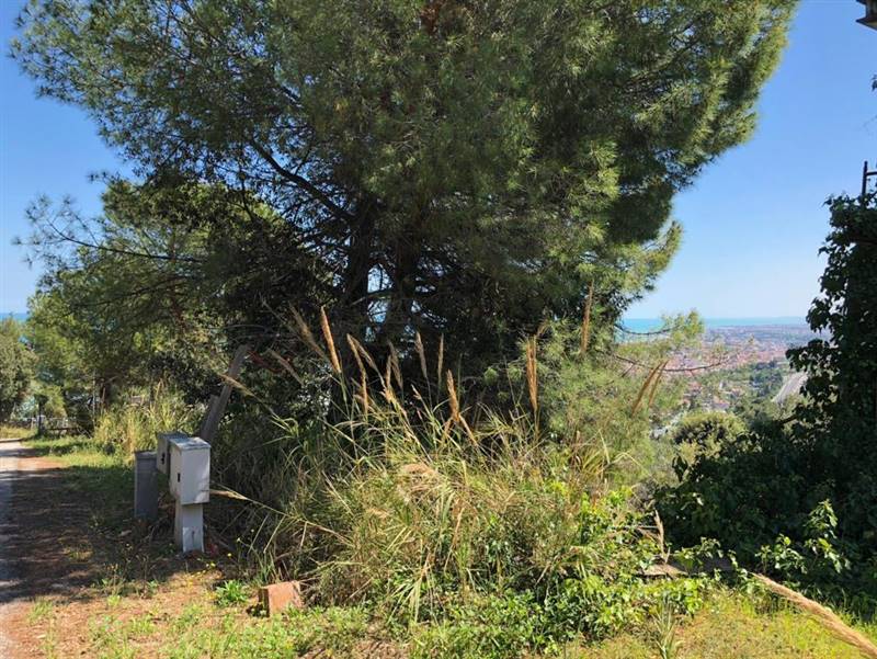 02 GROTTAMMARE - TERRENO EDIFICABILE VISTA MARE.jp