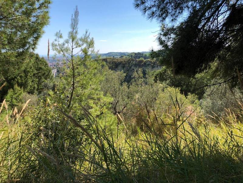 06 GROTTAMMARE - TERRENO EDIFICABILE VISTA MARE.jp