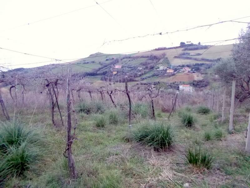 23SANBENEDETTODELTRONTOCASAINCAMPAGNAVISTAMAREjpg