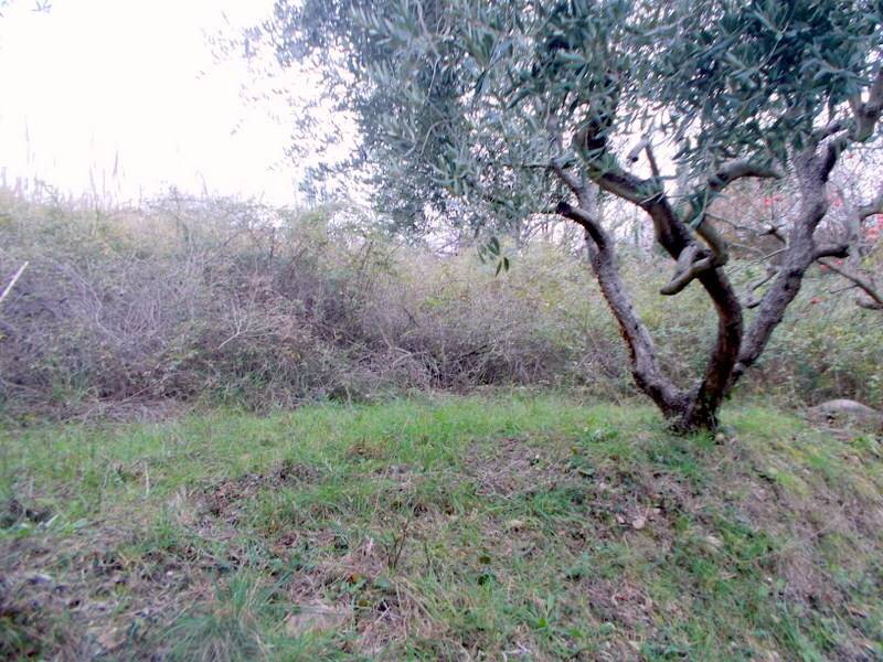 21SANBENEDETTODELTRONTOCASAINCAMPAGNAVISTAMAREjpg