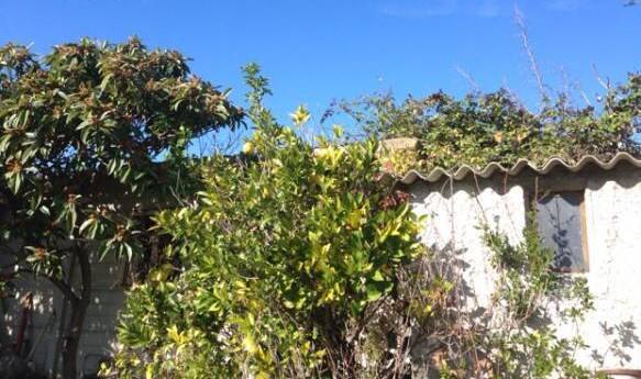 16SANBENEDETTODELTRONTOCASAINCAMPAGNAVISTAMAREjpg