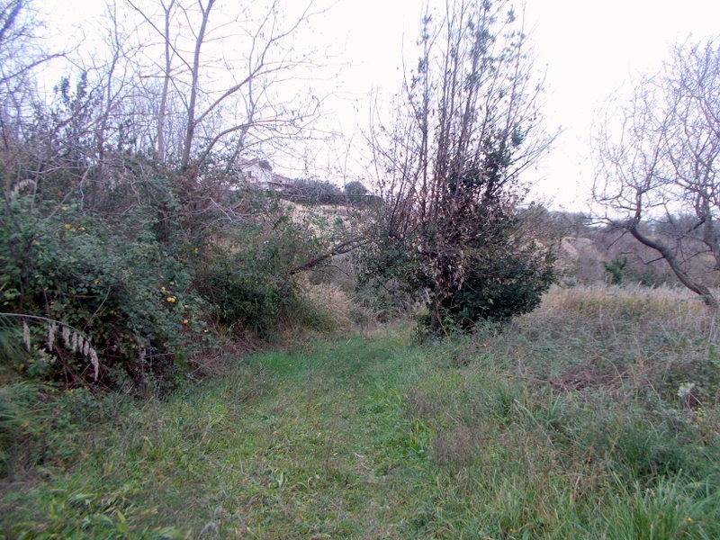 19SANBENEDETTODELTRONTOCASAINCAMPAGNAVISTAMAREjpg