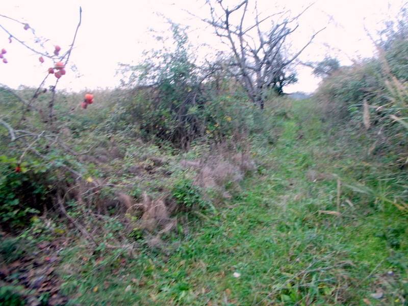 18SANBENEDETTODELTRONTOCASAINCAMPAGNAVISTAMAREjpg