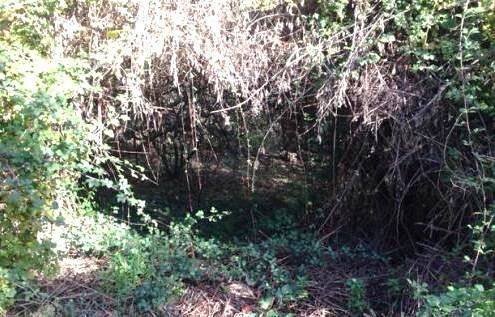 17SANBENEDETTODELTRONTOCASAINCAMPAGNAVISTAMAREjpg