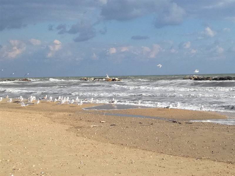 08 CUPRA MARITTIMA-AVVIATO STABILIMENTO BALNEARE V