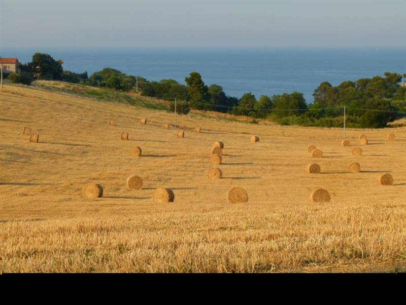 14 CUPRA MARITTIMA-AVVIATO STABILIMENTO BALNEARE V