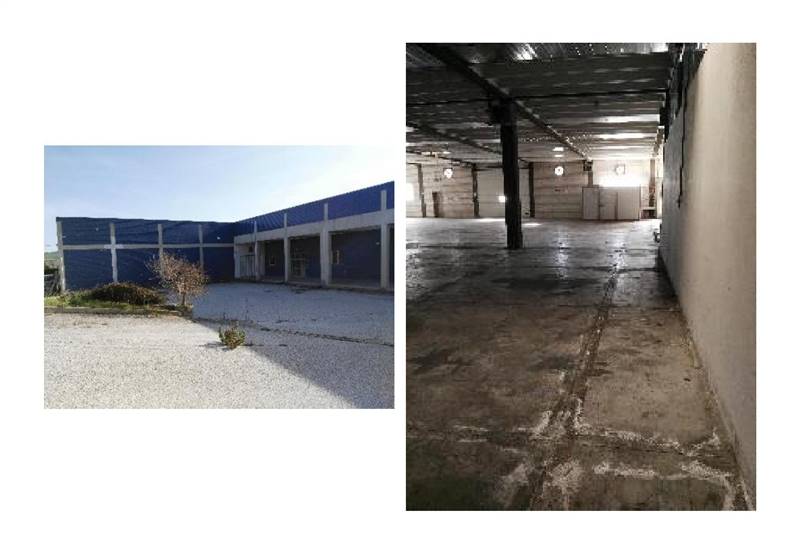 capn giulianova-4 (1).jpg