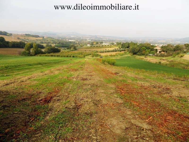 08DILEOIMMOBILIAREVENDEAZIENDAAGRICOLABIOLOGICAPES