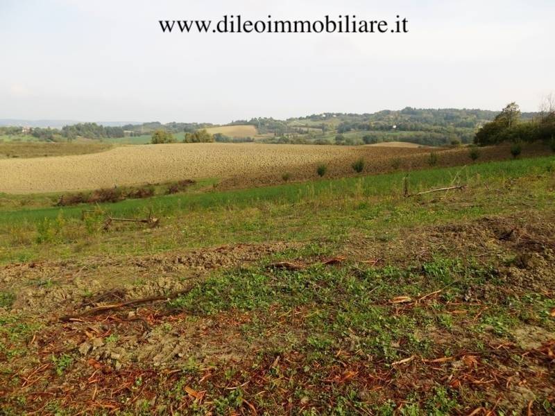 07DILEOIMMOBILIAREVENDEAZIENDAAGRICOLABIOLOGICAPES