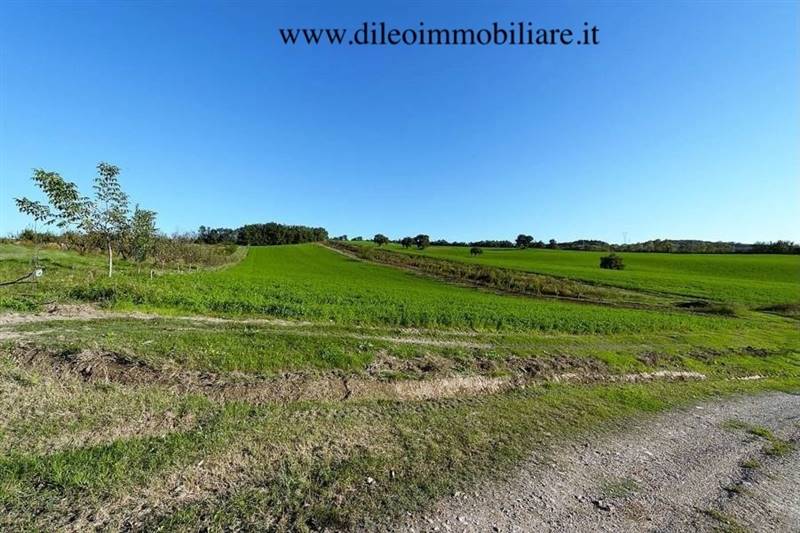 02DILEOIMMOBILIAREVENDEAZIENDAAGRICOLABIOLOGICAPES