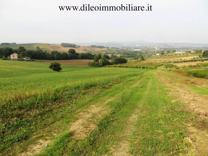 09DILEOIMMOBILIAREVENDEAZIENDAAGRICOLABIOLOGICAPES