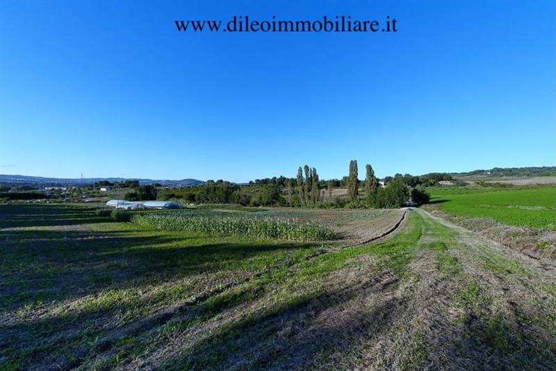 03DILEOIMMOBILIAREVENDEAZIENDAAGRICOLABIOLOGICAPES