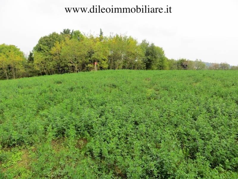 010DILEOIMMOBILIAREVENDEAZIENDAAGRICOLABIOLOGICAPE