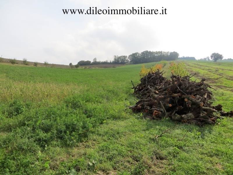 05DILEOIMMOBILIAREVENDEAZIENDAAGRICOLABIOLOGICAPES