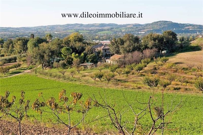 01DILEOIMMOBILIAREVENDEAZIENDAAGRICOLABIOLOGICAPES