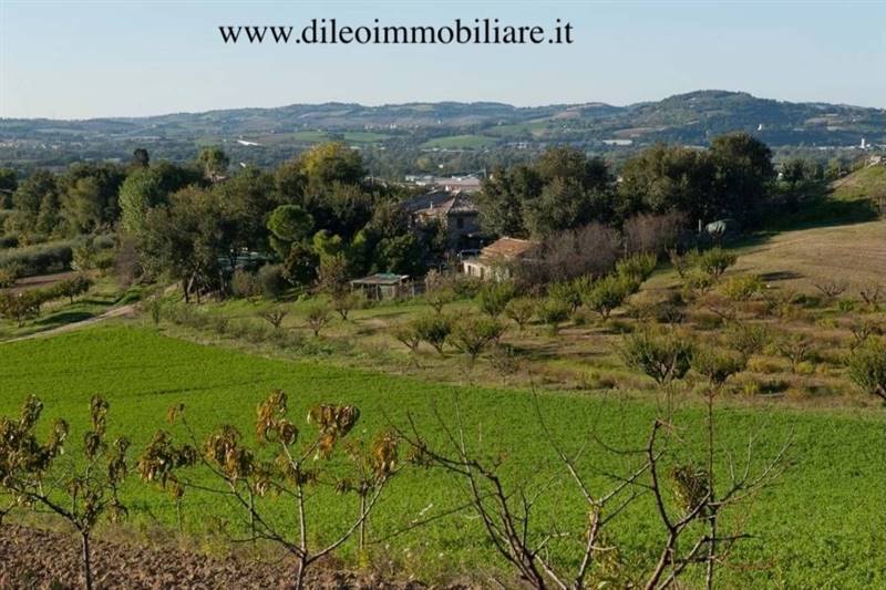 016DILEOIMMOBILIAREVENDEAZIENDAAGRICOLABIOLOGICAPE