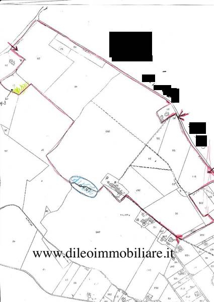 019DILEOIMMOBILIAREVENDEAZIENDAAGRICOLABIOLOGICAPE