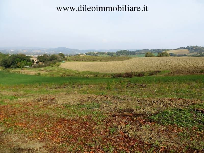 06DILEOIMMOBILIAREVENDEAZIENDAAGRICOLABIOLOGICAPES