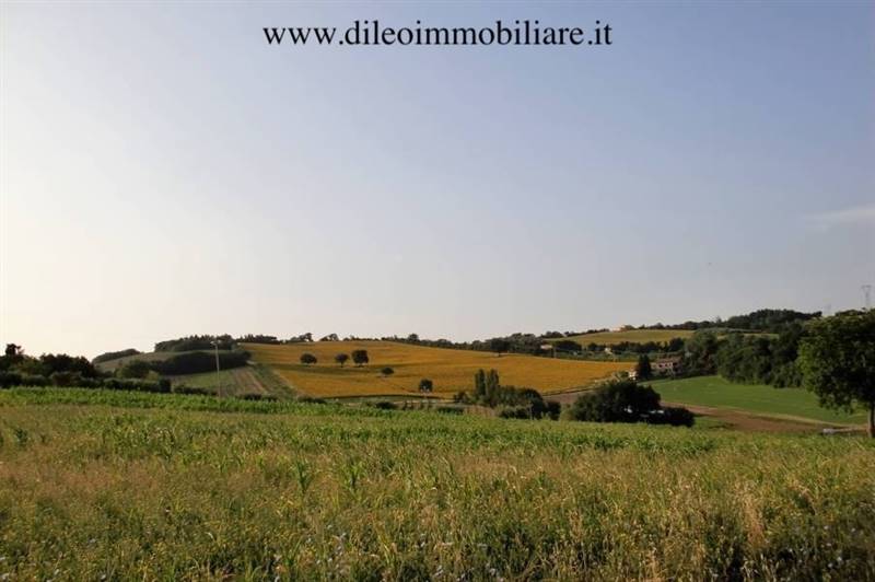 04DILEOIMMOBILIAREVENDEAZIENDAAGRICOLABIOLOGICAPES