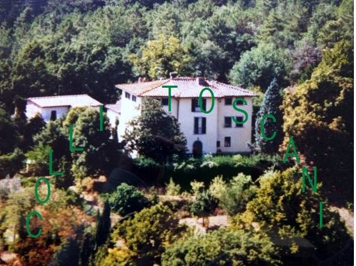 Villa in zona Mercatale - Torre a Montevarchi