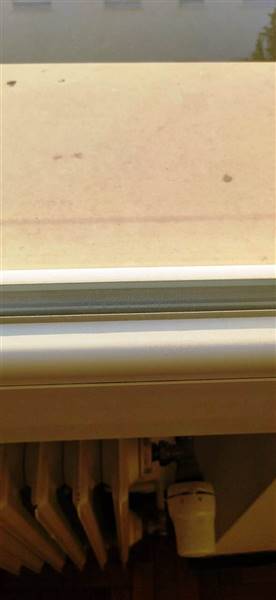 WhatsApp Image 2025-03-03 at 17.44.16 (2).jpeg