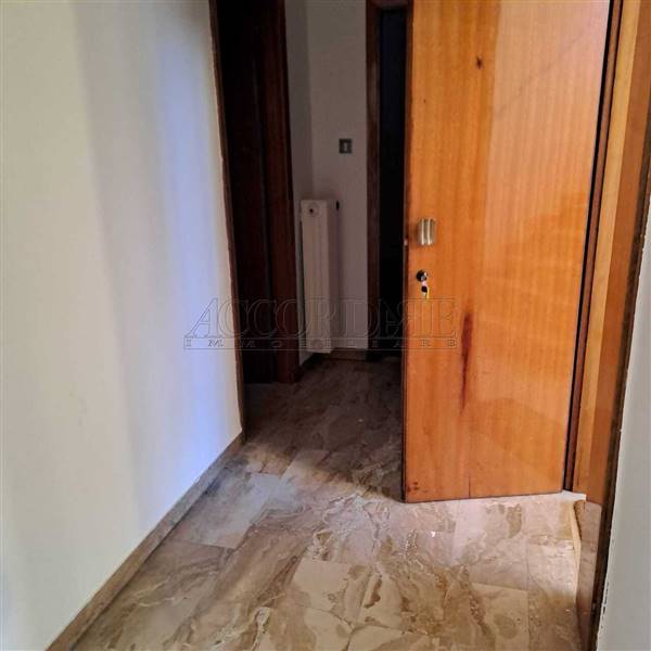 WhatsApp Image 2026-01-08 at 17.15.28 (1).jpeg