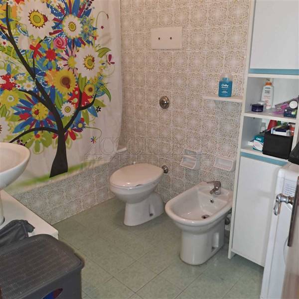 WhatsApp Image 2026-01-21 at 16.33.48 (1).jpeg